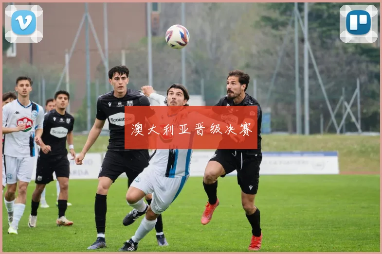 澳大利亚晋级决赛