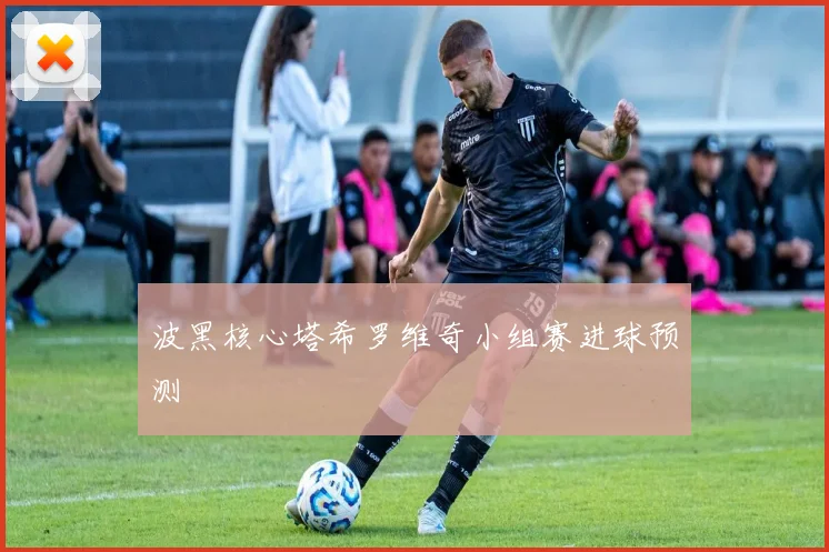 波黑核心塔希罗维奇小组赛进球预测