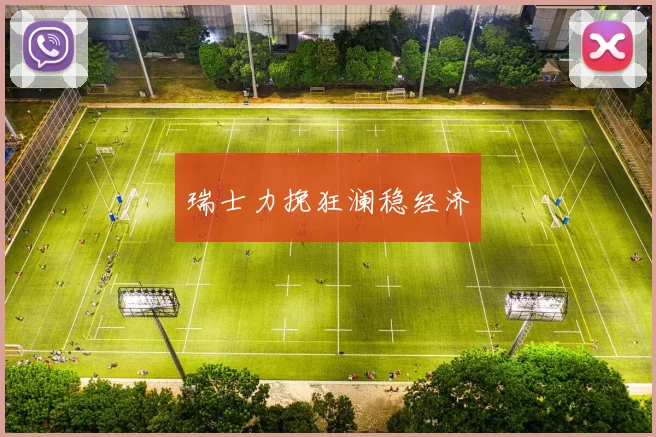 瑞士力挽狂澜稳经济