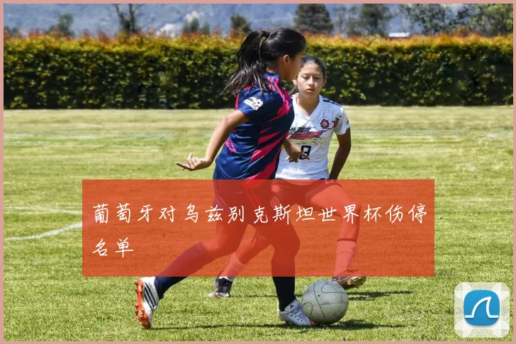 葡萄牙对乌兹别克斯坦世界杯伤停名单
