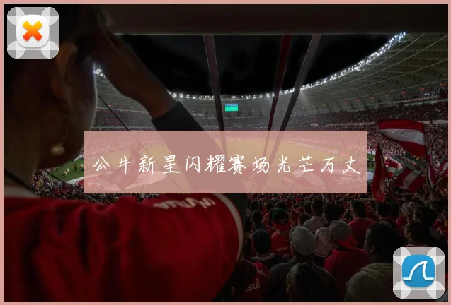 公牛新星闪耀赛场光芒万丈