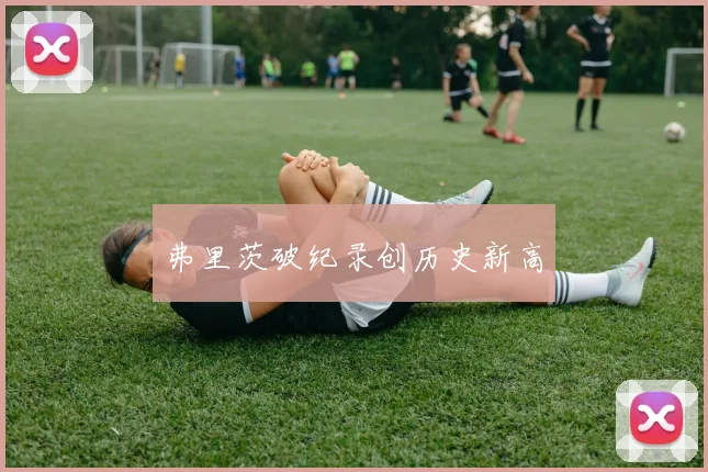 弗里茨破纪录创历史新高
