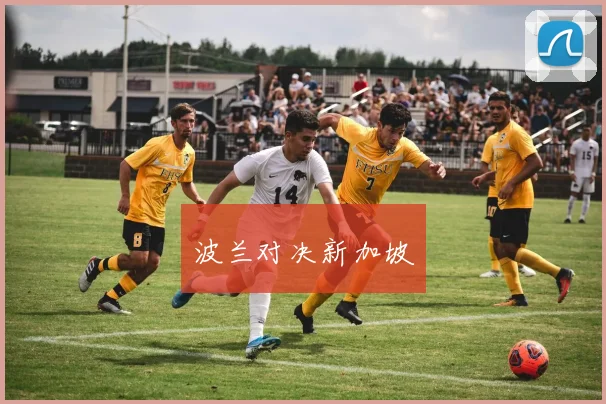 波兰对决新加坡
