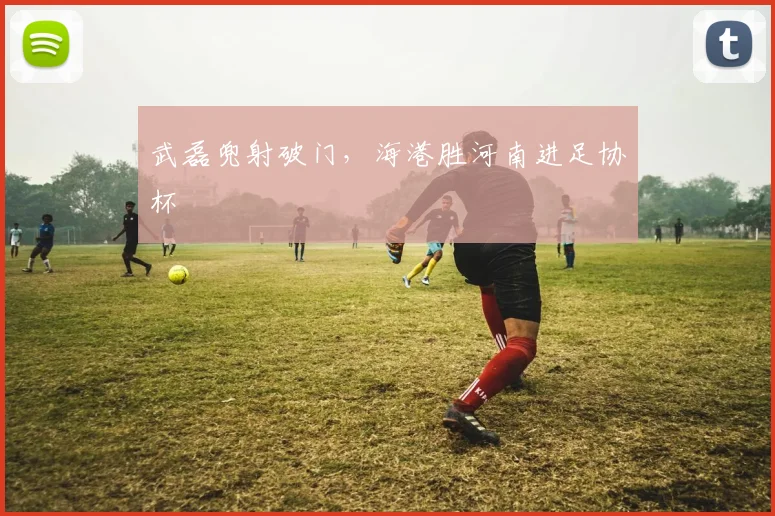 武磊兜射破门，海港胜河南进足协杯