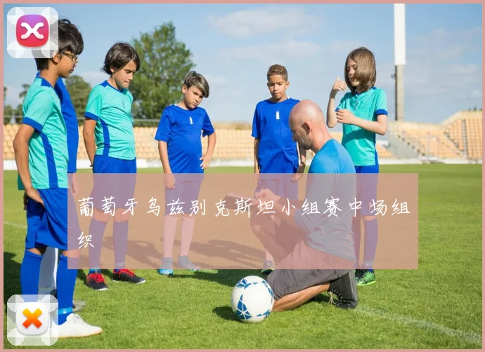 葡萄牙乌兹别克斯坦小组赛中场组织