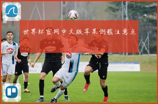 世界杯官网中文版苹果侧载注意点
