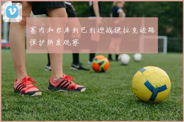 塞内加尔库利巴利迎战伊拉克边路保护热度观察