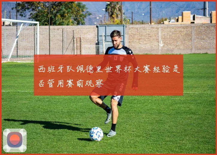 西班牙队佩德里世界杯大赛经验是否管用赛前观察